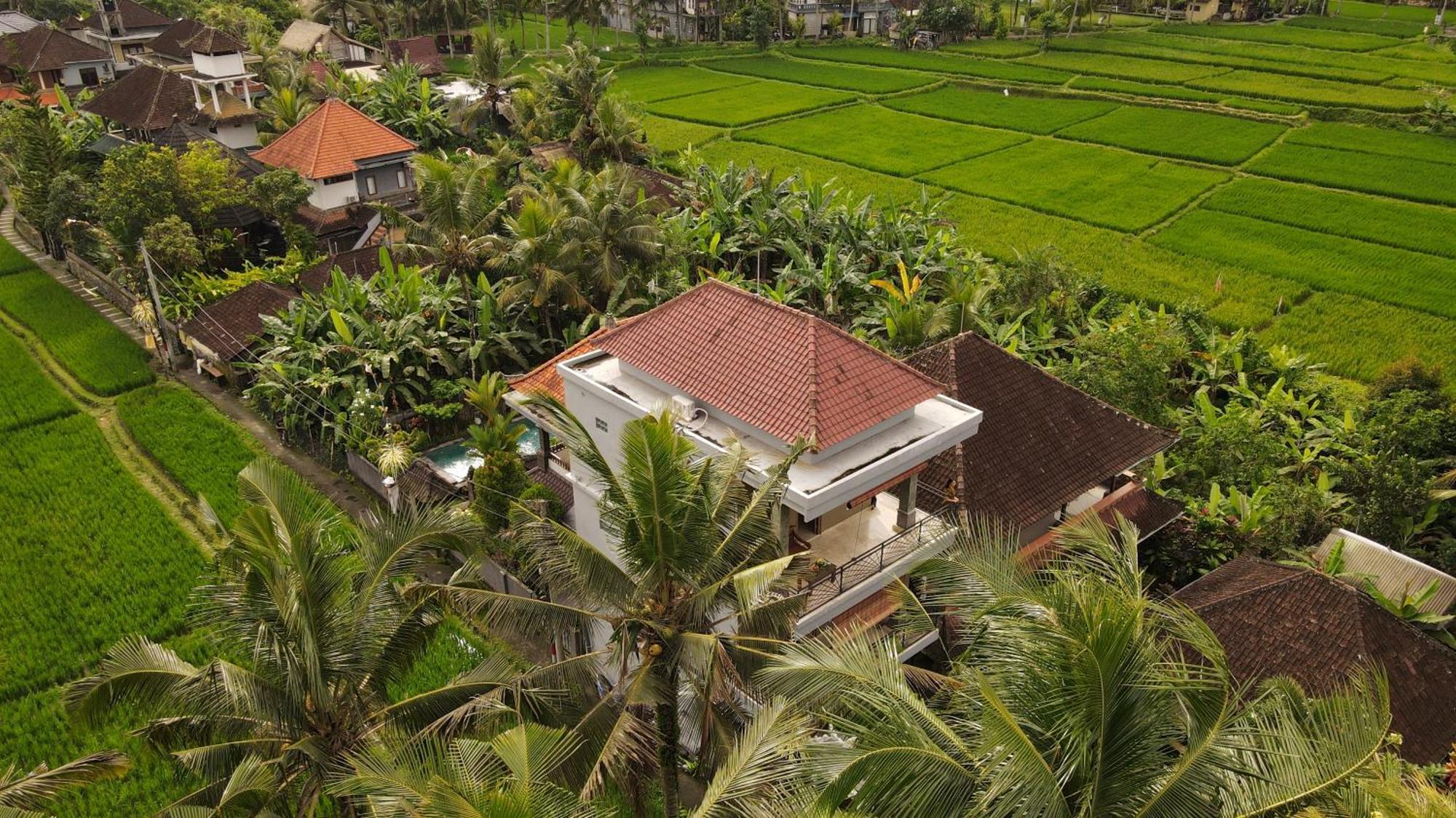 Nirwa 1 Ubud Guesthouse 외부 사진